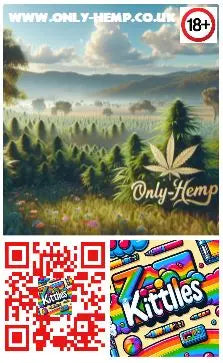 PREMIUM HHC UK VAPE