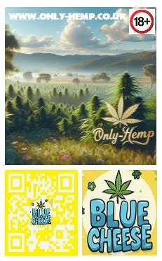 Dirty Sanchez HHC 510 CART/BOTTLE Multi-Pack x3   (#HHC #CBD #THC) (Copy) My Store